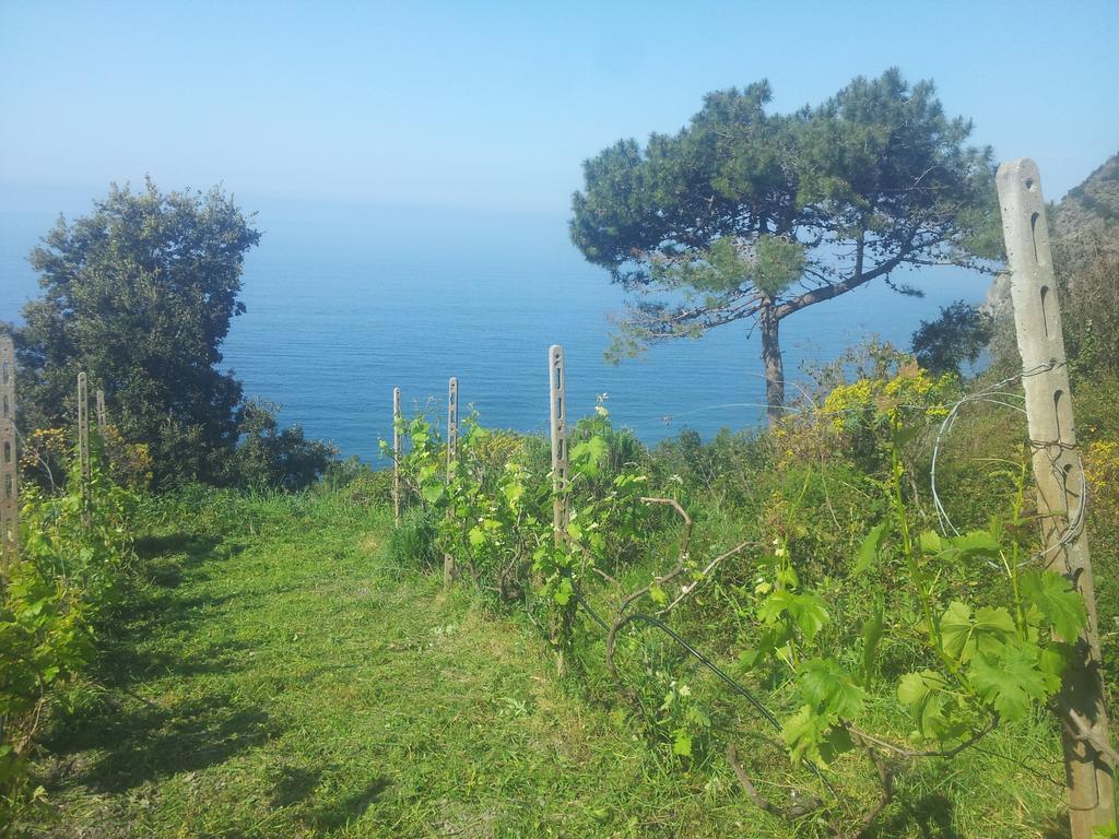 Apartment Camere Cinque Terre Andrea La Spezia Rom bilde